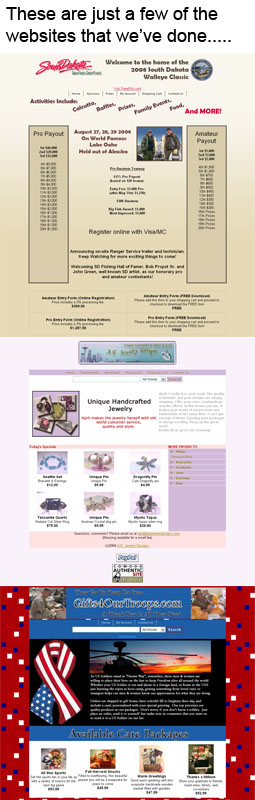 Professional Website Setup Package